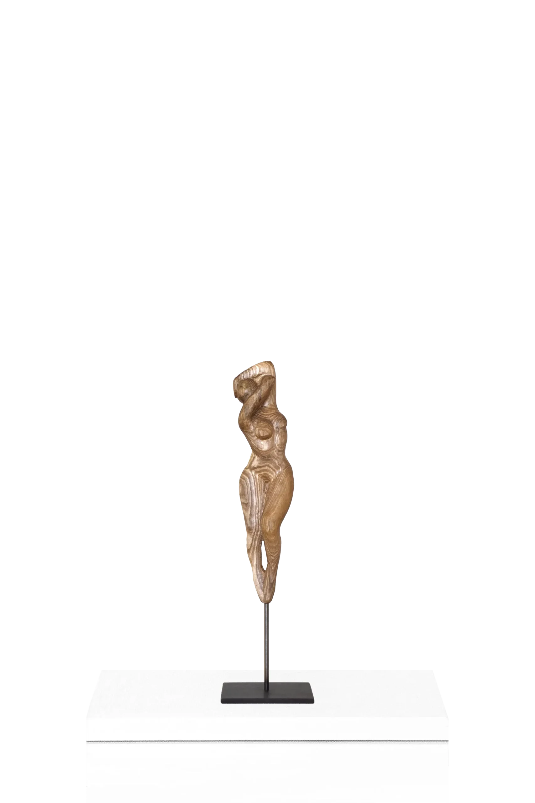 Sensation 1 transparent