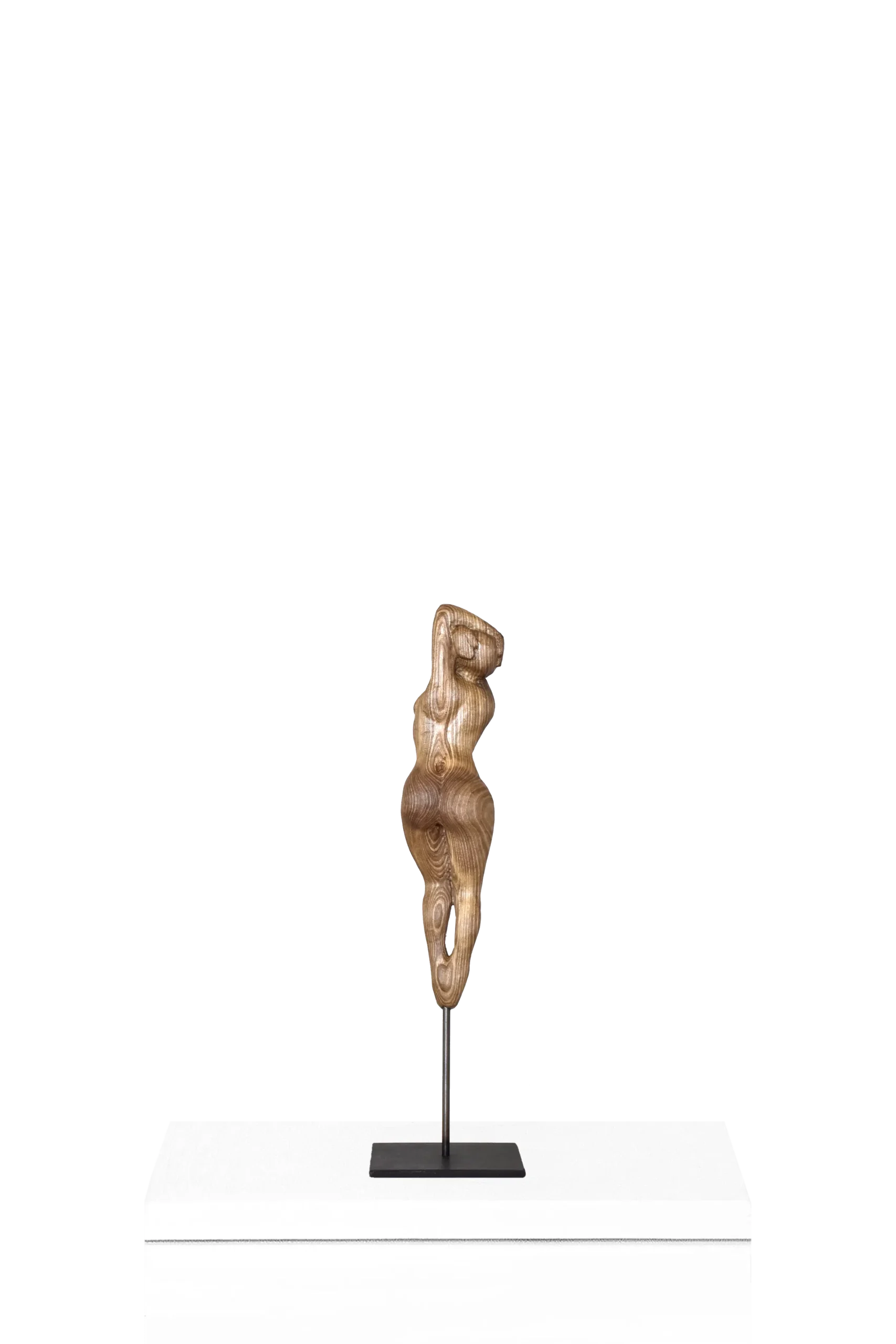 Sensation 2 transparent